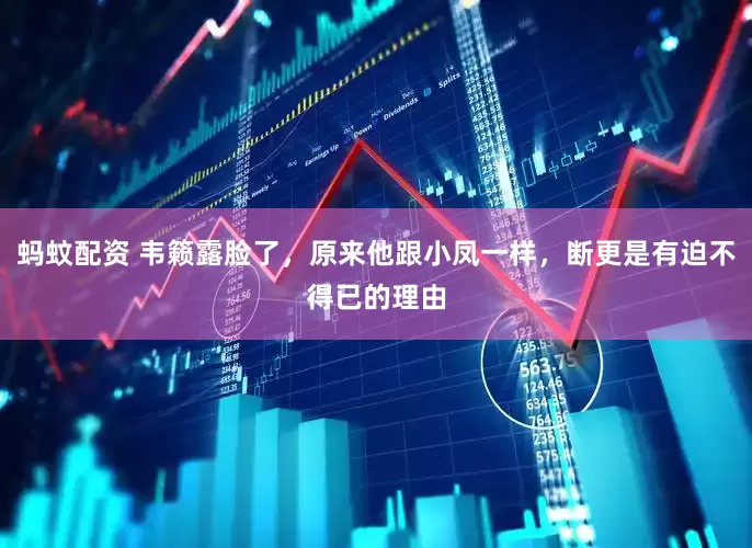 蚂蚊配资 韦籁露脸了，原来他跟小凤一样，断更是有迫不得已的理由