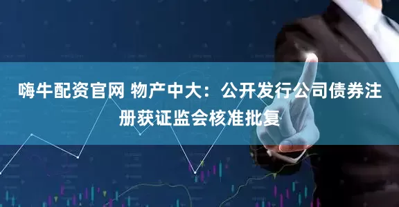 嗨牛配资官网 物产中大：公开发行公司债券注册获证监会核准批复