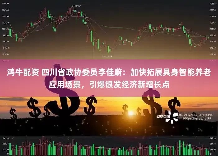 鸿牛配资 四川省政协委员李佳蔚：加快拓展具身智能养老应用场景，引爆银发经济新增长点